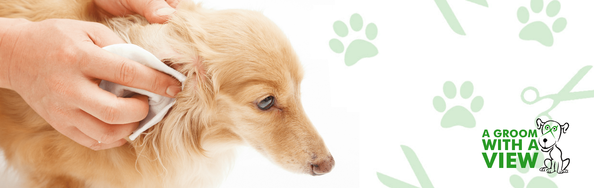 Pet ear Cleaning in Lincoln A Groom With A View